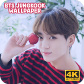 BTS Jungkook Wallpaper HD 2019 icon