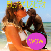 Japan Funny Videos icon