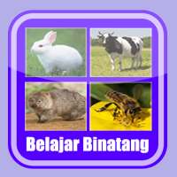 Belajar Membaca Binatang on 9Apps