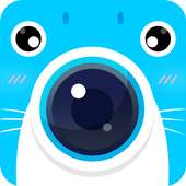 Seals Camera on 9Apps