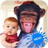 Face Swap Video Live on 9Apps