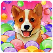 Bubble Puppy Marble Shooter