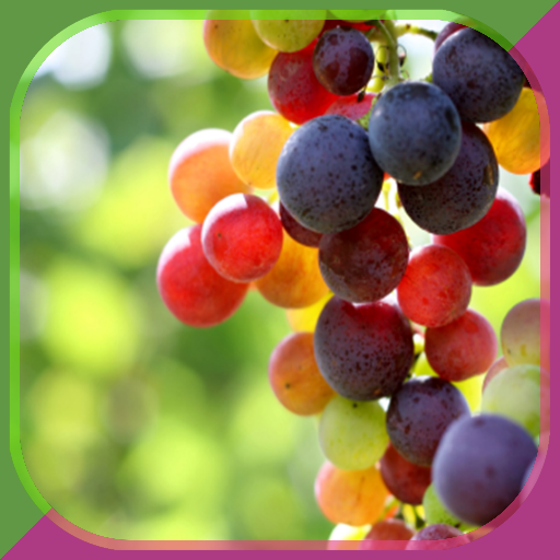 Grape Growing Secrets иконка