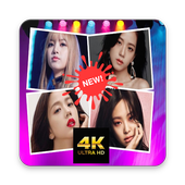 BlackPink Wallpaper Fans Kpop icon