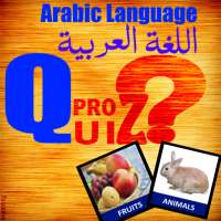 Arabic -English  Word Quiz