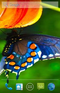 Butterfly Live Wallpaper screenshot 2