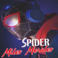 Spider Hero Rope Man Miles Morales HD Wallpaper