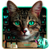Cute Cat Meow Keyboard icon