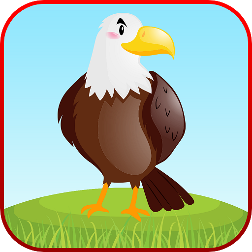 Bird Sounds Fun Learning Games - Coloring &amp; Puzzle icon