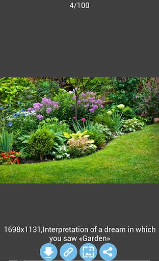 Image Search (Image Download) screenshot 2