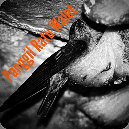 SP Walet Nusantara - Suara Panggil Walet Terbaik icon