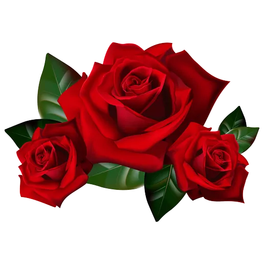 Roses Stickers For Whatsapp - WAStickerApps icon