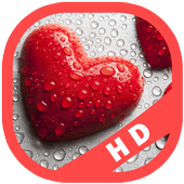 Love Heart Wallpapers Backgrounds HD icon
