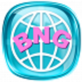 BNG browser icon