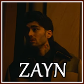 ZAYN icon