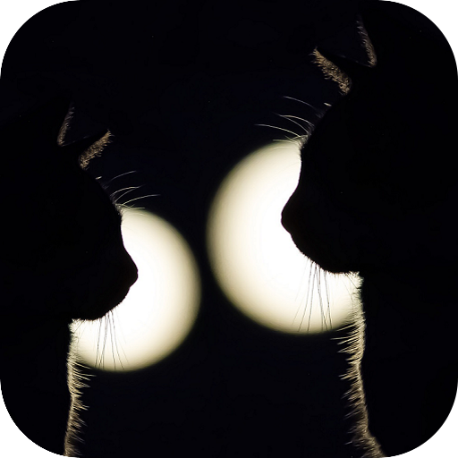 Black Wallpaper icon