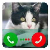 Fake Call Cat Angela icon