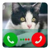 Fake Call Cat Angela