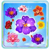 Bubble Blossom shoot