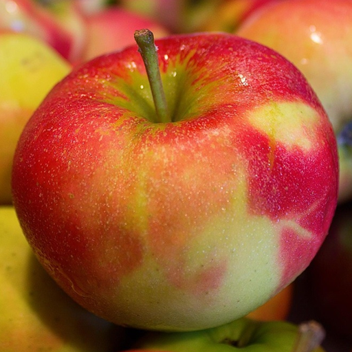 Apple Wallpaper icon