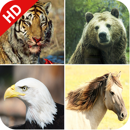 170 Animal Sounds icon