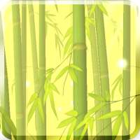 Bamboo Forest Free L.Wallpaper