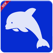 Dolphin Emulator  For Android New 2018 icon