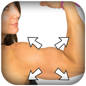 Body camera-Fitness photos,Body builder icon
