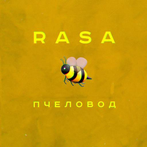 Rasa - Пчеловод все песни без интернета иконка