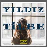 Yıldız Tilbe Şarkıları 20 20(in-ter-net-siz )