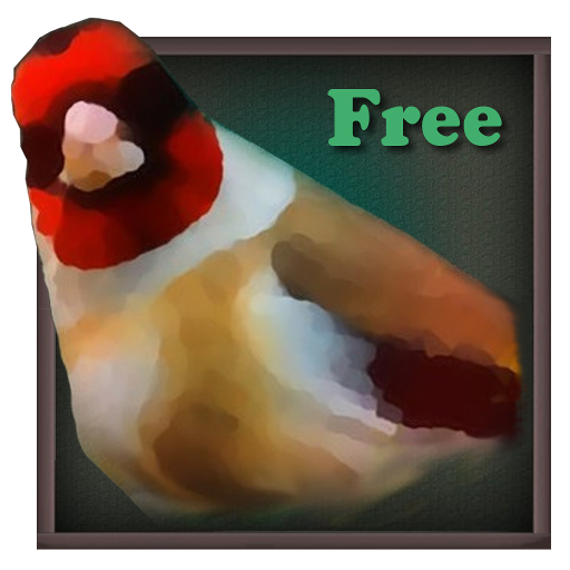 Birdquiz Free icon
