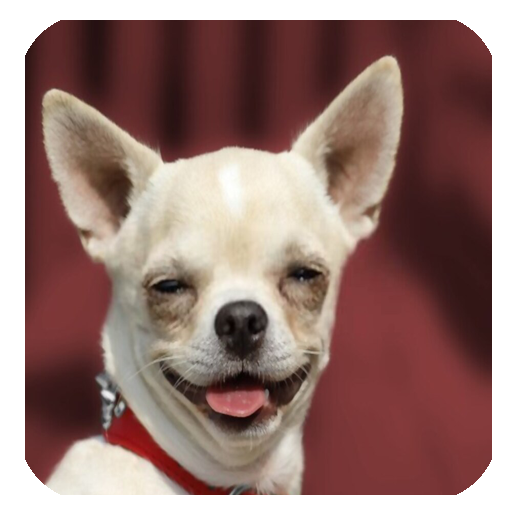 How To Be Funny icon