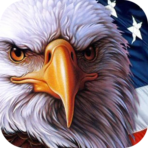 American Flag Live Wallpaper Themes icon