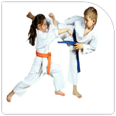 Karate for beginners icon