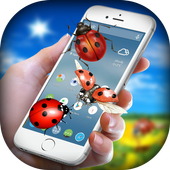 Ladybug On Screen Funny Joke - Bugs in Phone Pro icon