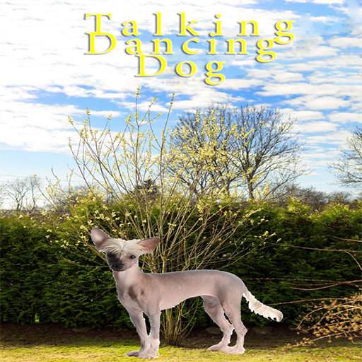 Talking-Dancing Dog icon