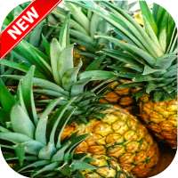 Ananas Wallpaper HD 🍍 on 9Apps