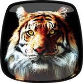 Tiger Live Wallpaper icon