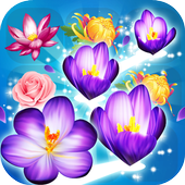 Blossom Crush Legend icon