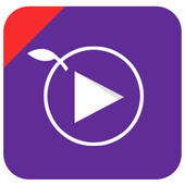 Video Downloader Pro HD 2017 icon