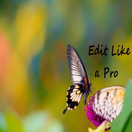 Edit Like a Pro icon