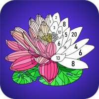 Daily Color - Paint by Number