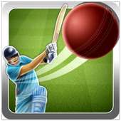 Quick Cricket