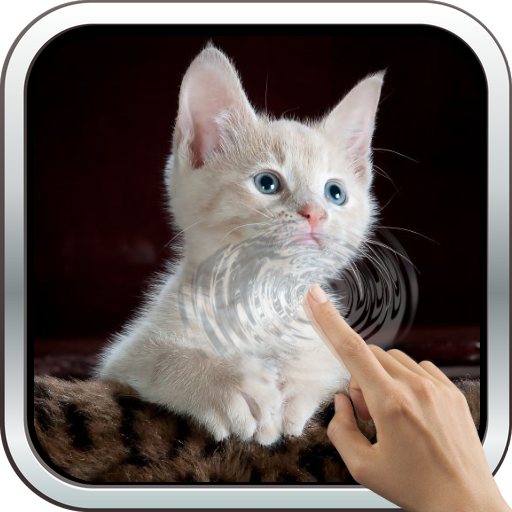 Sleeping Kitty 3D Wallpaper icon