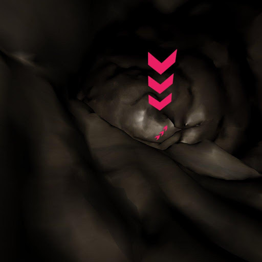 VR Duck Genitalia Explorer screenshot 4