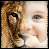 تركيب الصور مع صور الحيوانات أيقونة