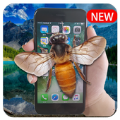 Пчелиный экран иконка