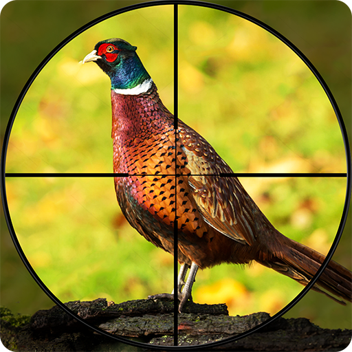 Pheasant Shooter: Crossbow Birds Hunting Games icon