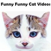 Funny Funny Cat Videos icon