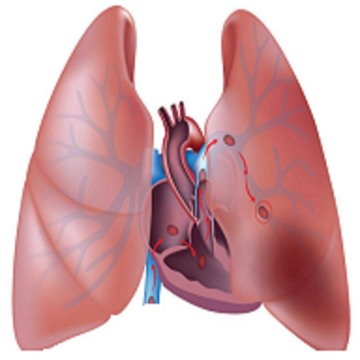 Pulmonary &amp; Diseases icon